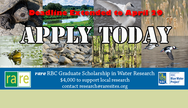 APPLY TODAY. Deadline Extended to April 29, rare Logo, rare RBC Graduate Scholarship in Water Research, $4,000 to support local research, contact researxh@raresites.org. RBC Logo, RBC Blue Water Project, turtle, river, swan, herb, frog, bird on the stone shore, forest, flying ducks