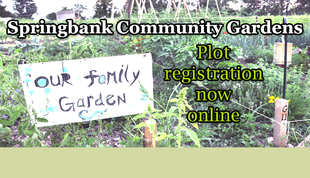 Springbank Community Gardens, Plot registration now online, Our family Garden sign. Plants