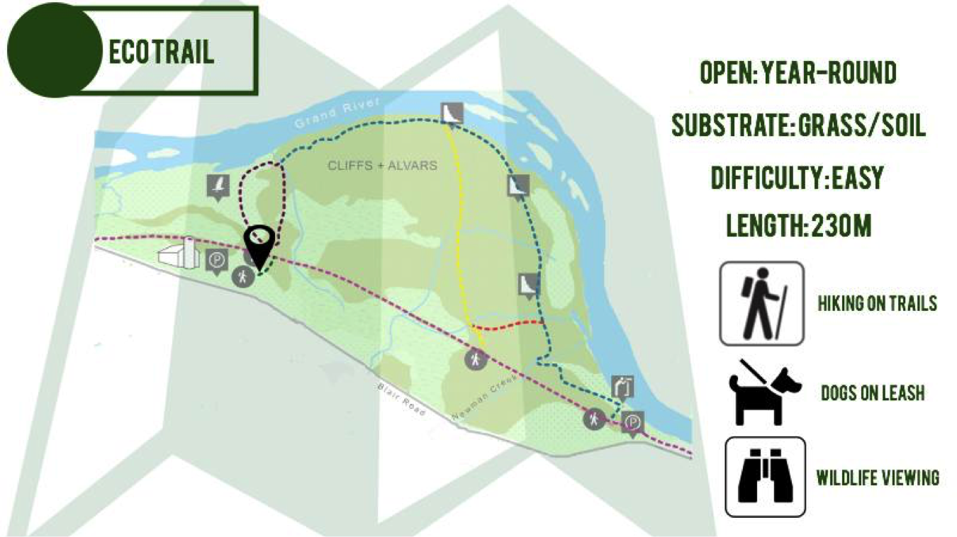 Map. ECO trail. Open: Year-round. Substrate: Grass/Soil. Difficulty: Easy. Length: 230m. Hiking on trails. Dogs on leash. Wildlife viewing