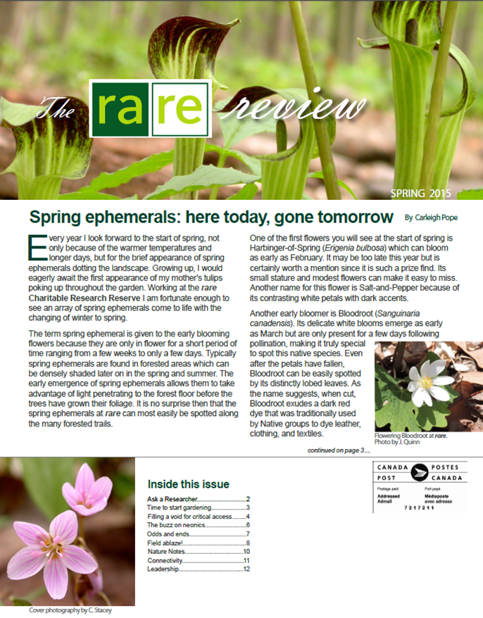 Sping 2015 Newsletter Front Page