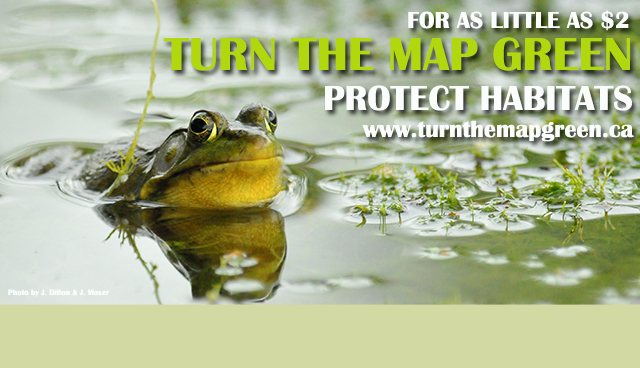 For as little as $2 TURN THE MAP GREEN protect habitats, www.turnthemapgreen.ca, frog in the pond