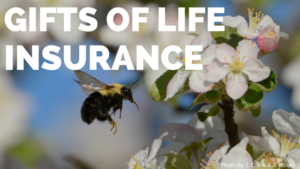Gifts of life insurance, bumble bee