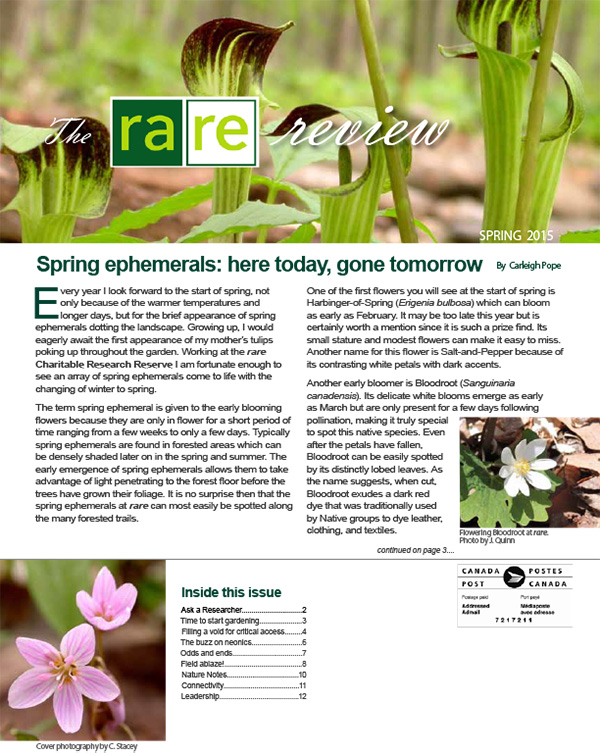 The rare Review, Spring 2015