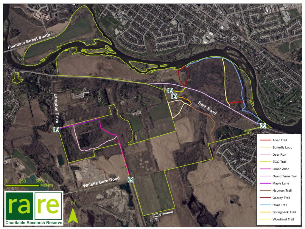 rare Trails in Cambridge and North Dumfries - March 15, 2022