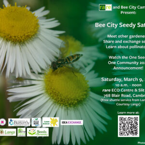 Bee City Seedy Saturday Poster