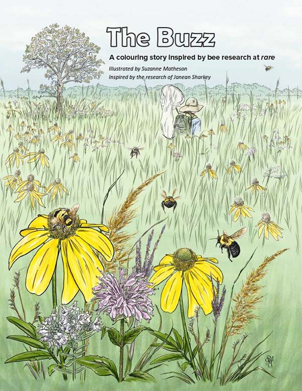 The Buzz: a colouring story inspired by bee research at rare